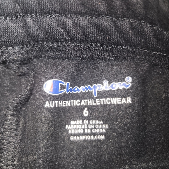 BOYS CHAMPION HOODIE/SWEATPANTS SET - Picture 6 of 6